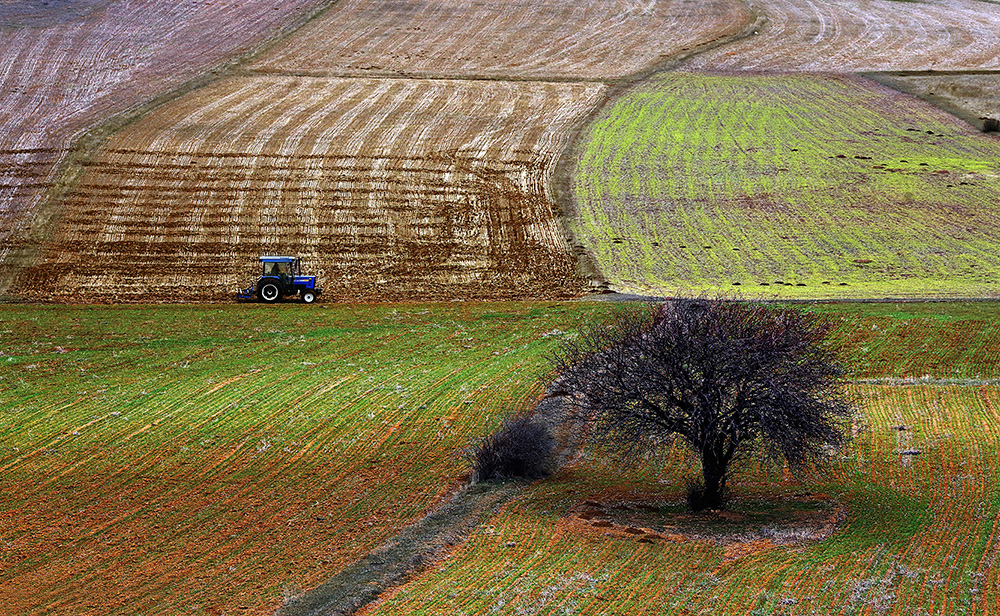 Tarım Alanı