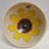Thumbnail: BOWL - SUNFLOWER & BEE  (037)