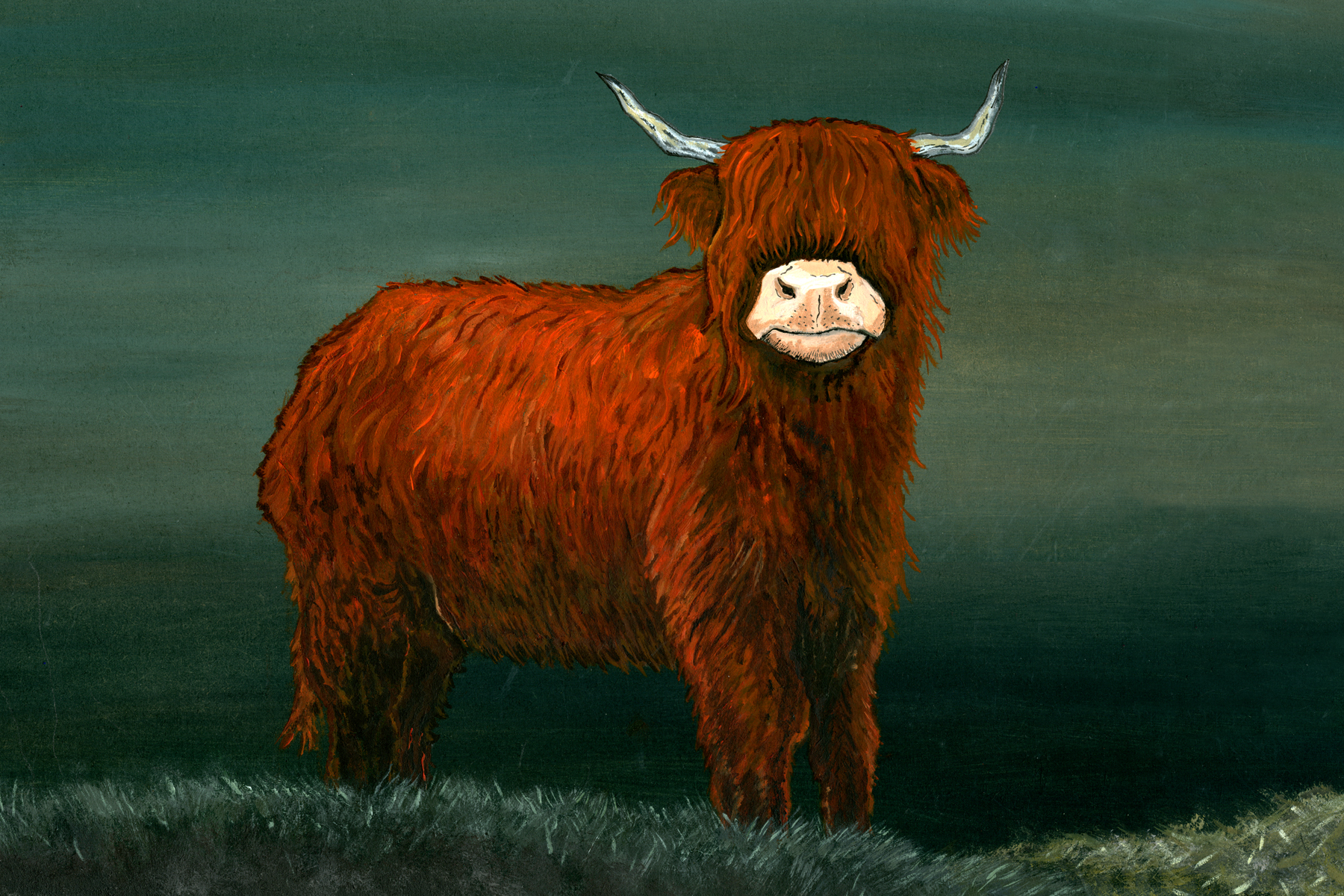 Highland Cow Alone