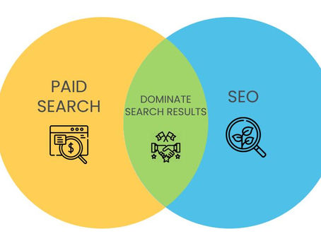 Mastering Paid and Organic Search Opportunities in 2024