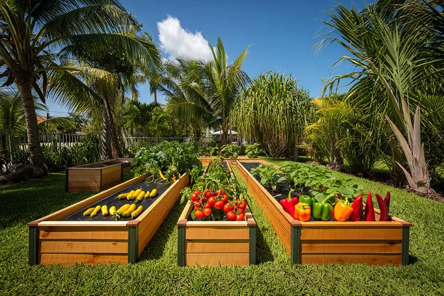 Organic gardening tips for beginners