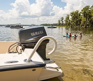 Boat Boarding Handles for Family.webp