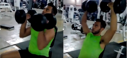 Arnold press