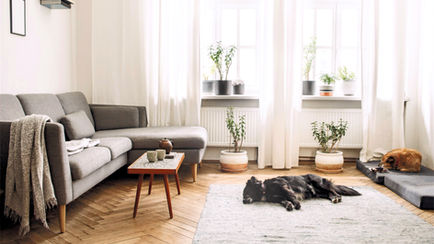 Home Comfort & Health