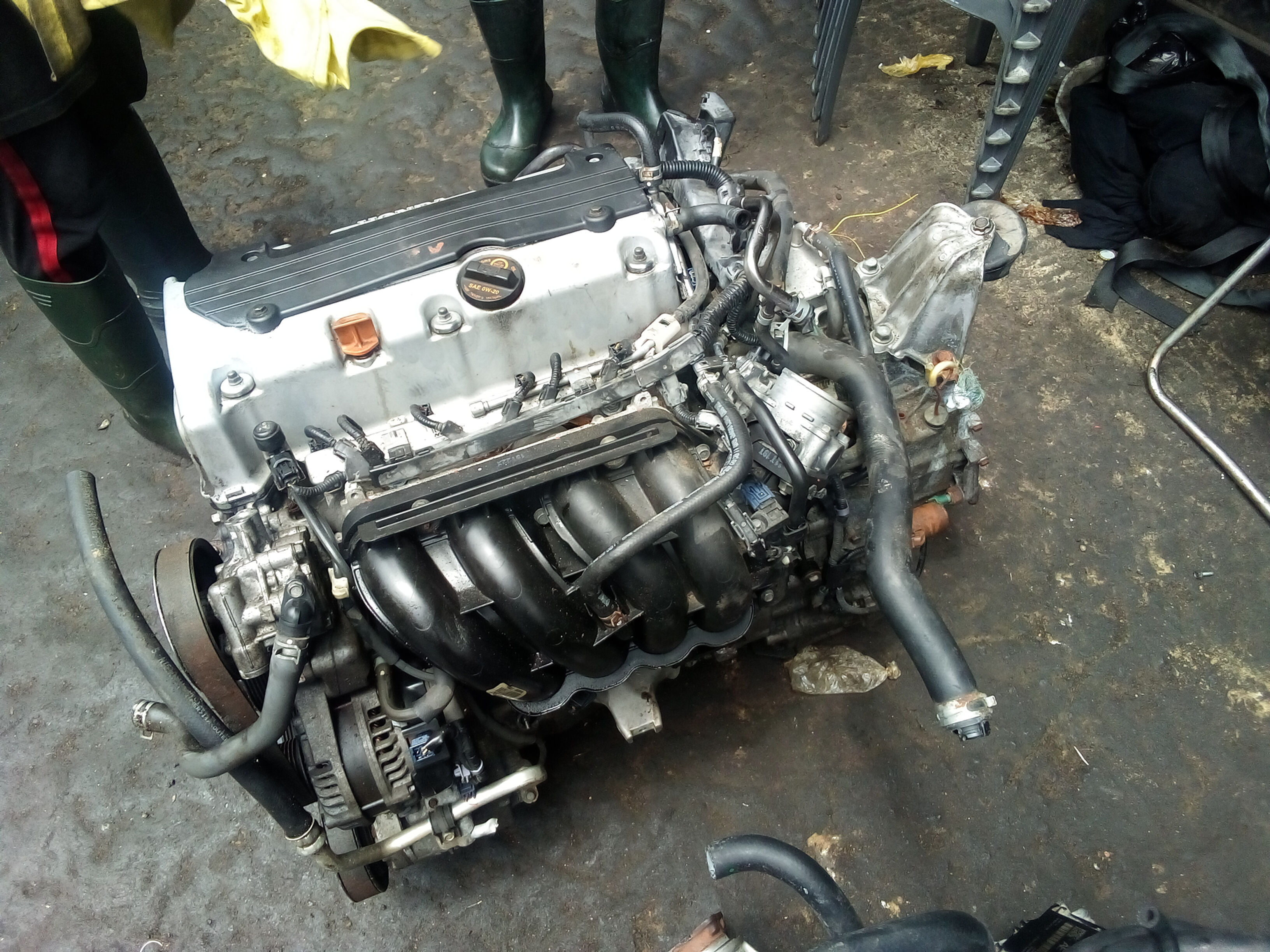 Honda Accord