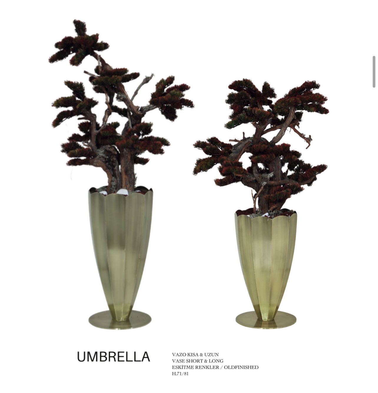 Umbrella Vazo Uzun - Kısa 2li Takım