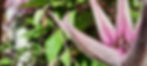 20210515_094518.jpg