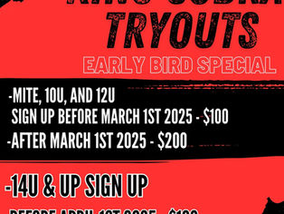 How Youth Hockey Players Can Prepare for Tryouts