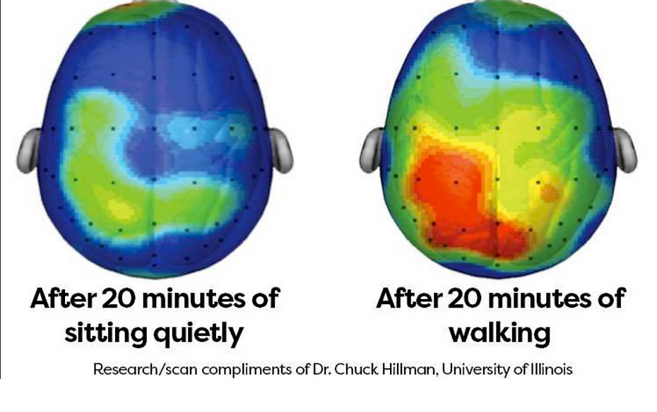 brain picture after walking_edited_edite