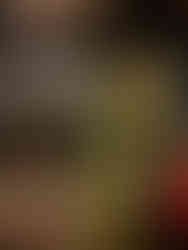 Indianapolis City Council Updates - SmartIndy Holiday Event