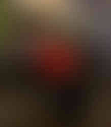 Indianapolis City Council Updates - SmartIndy Holiday Event