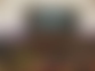 ŽUPAN NIKOLA DOBROSLAVIĆ U RIMU