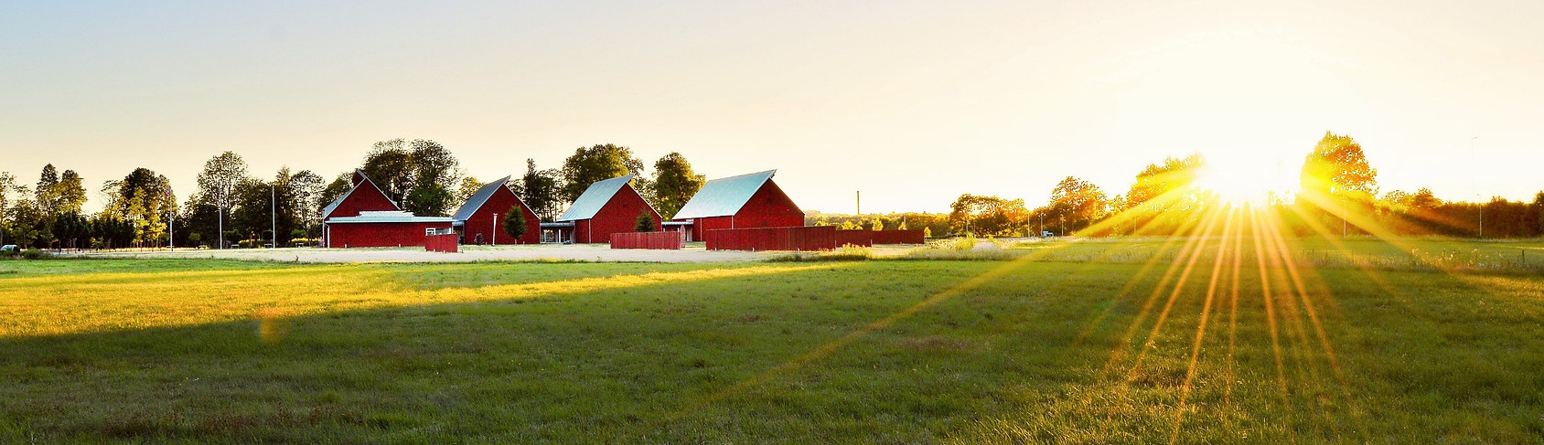 Farm field