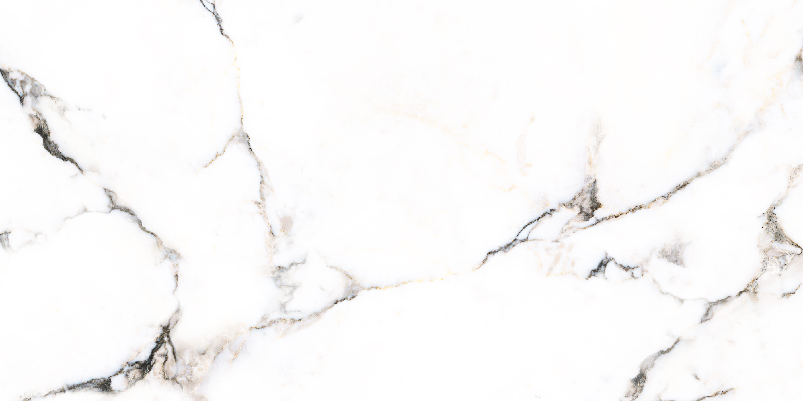 【ジャーマン・シェパード】の価格や略歴、飼い方の注意とは ...