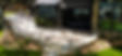 DJI_0772.jpg