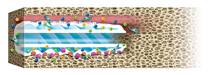 190425 Lifecycle.jpg