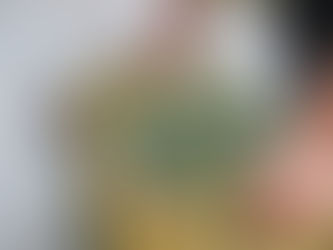 O caminho delicado do azeite extravirgem brasileiro