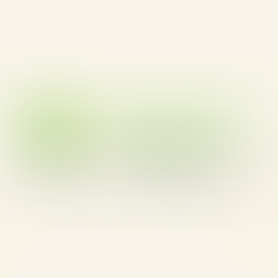 活動を支えるオンライン寄付サイトを開設しました​​！