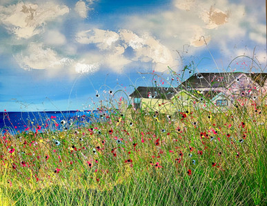 Behind the Dunes.jpeg