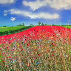 Red Field View.jpeg