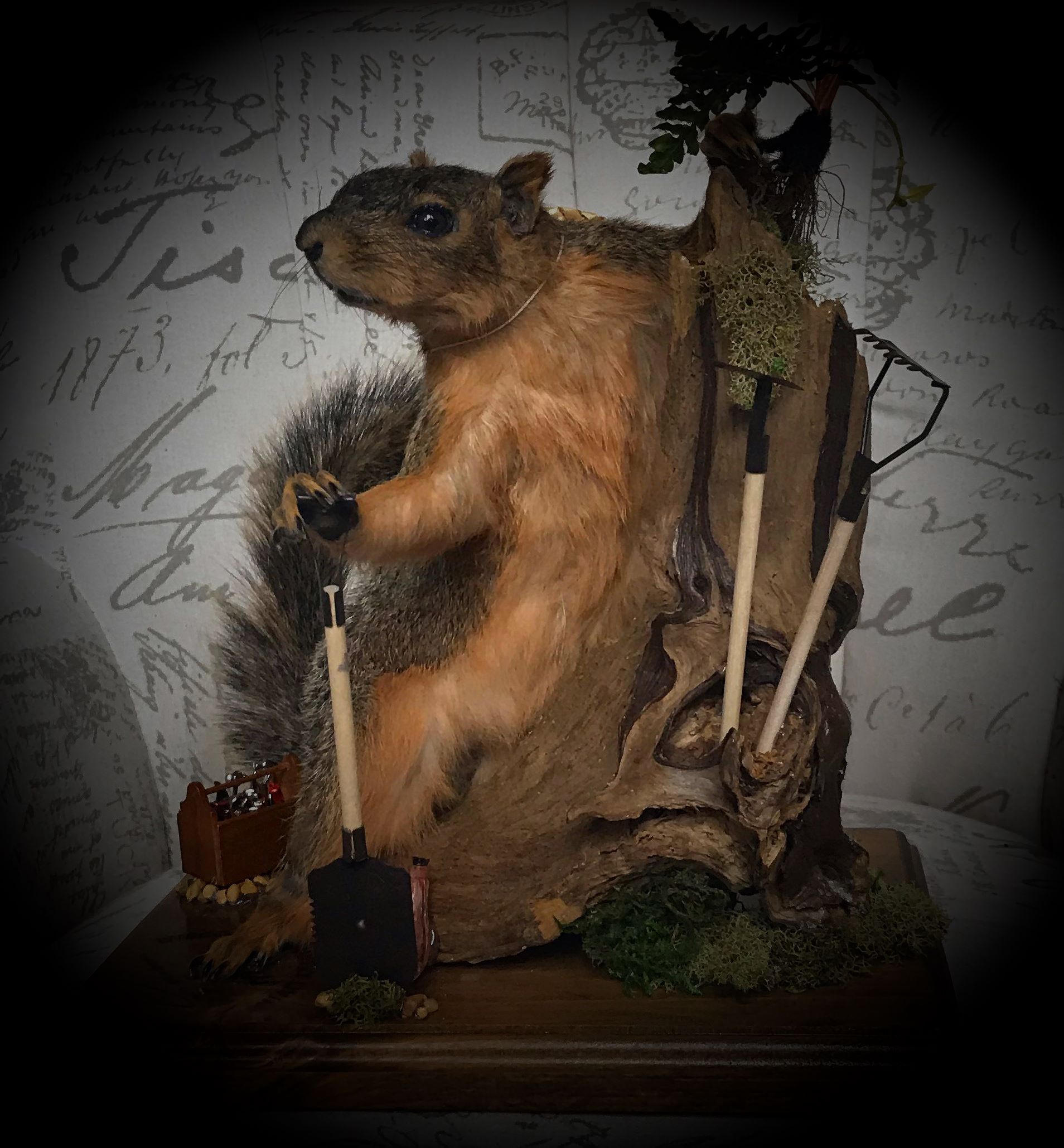 Wisconsin Country Living Taxidermy