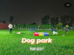 dogs of ilaya pet club