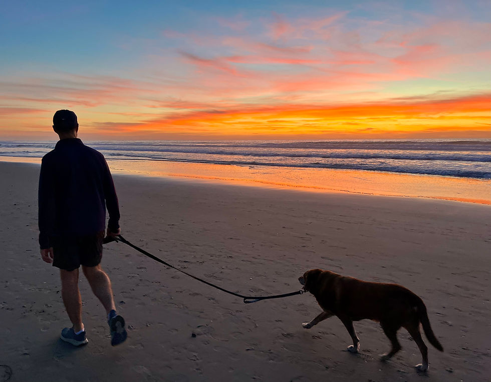 Del Mar Spieks & Blue 2.jpeg