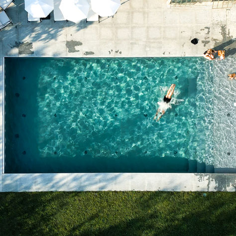 Natural vs Traditional Pools: What’s the Difference?
