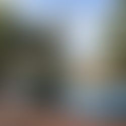 How a Natural Swimming Pool Works