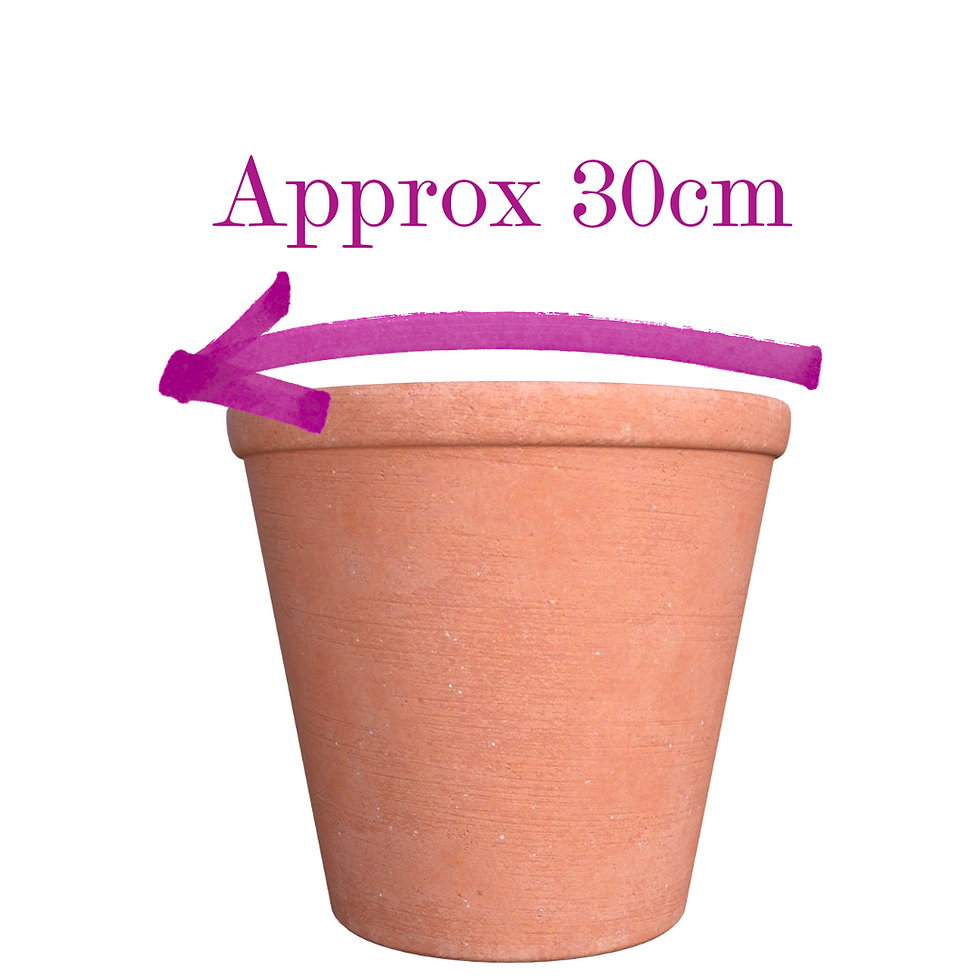 Thumbnail: Happy & Colourful Pot Kit
