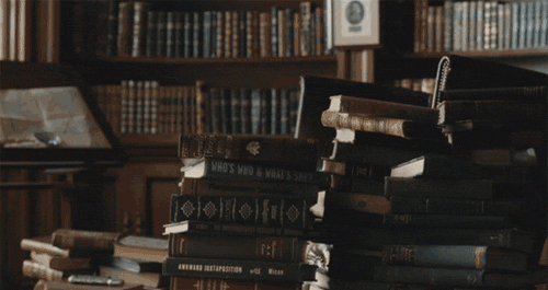 tumblr_2b056ad8ca1179d3b1e4021ba049d26b_d0e146ba_500.gif