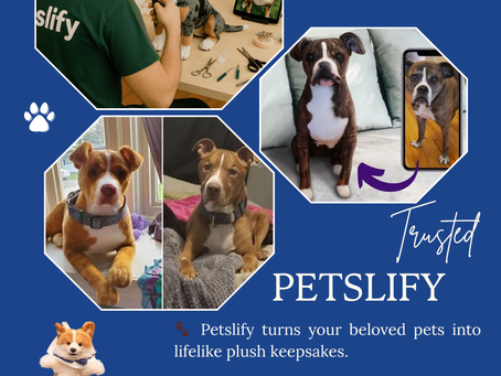 Petslify Plush Makes Saying Goodbye a Bit Easier