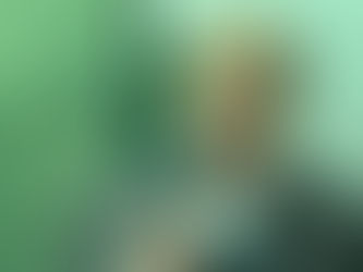 LA BEFANA ITALIANA 🇮🇹 E’ ARRIVATA ANCHE A LONDRA 🇬🇧!