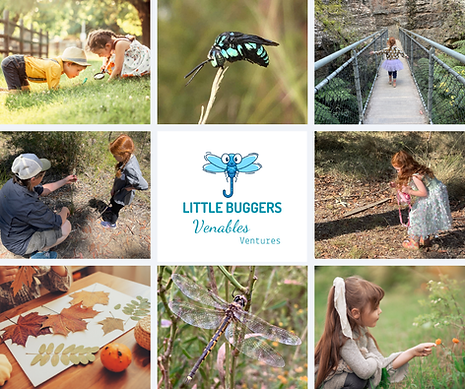 Little Buggers Poster.png