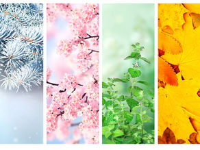 Seasonal shifts from winter to spring and back, reflecting how energy, capacity, and daily rhythms can feel unpredictable
