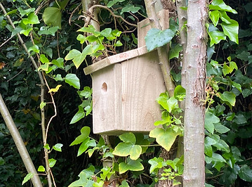 birdbox