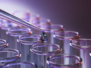 Home Mold & Water Testing in Sag Harbor, NY: A Homeowner's Guide