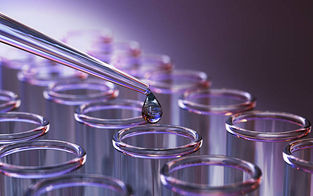 Home Mold & Water Testing in Sag Harbor, NY: A Homeowner's Guide
