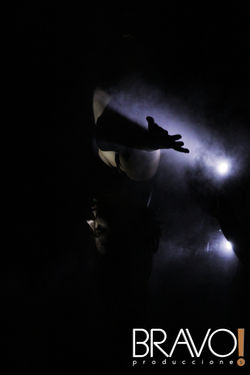 Danza contemporánea