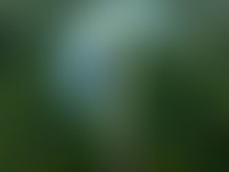 Traditional Construction VS Novocrete Construction