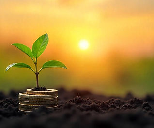 freepik__a-young-plant-growing-out-of-a-stack-of-coins-on-s__10156.jpeg