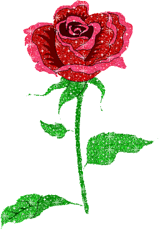 Rose giphy.gif