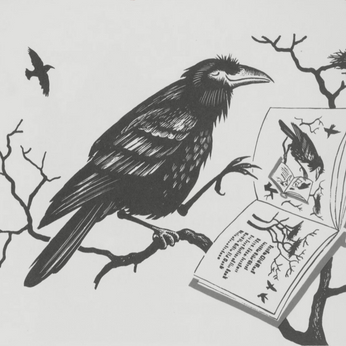 How to Win an Argument with a Crow 