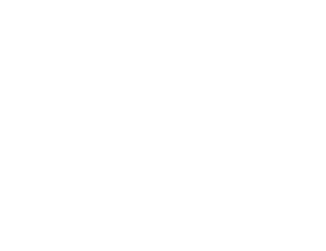 IDEA_logo_white.png