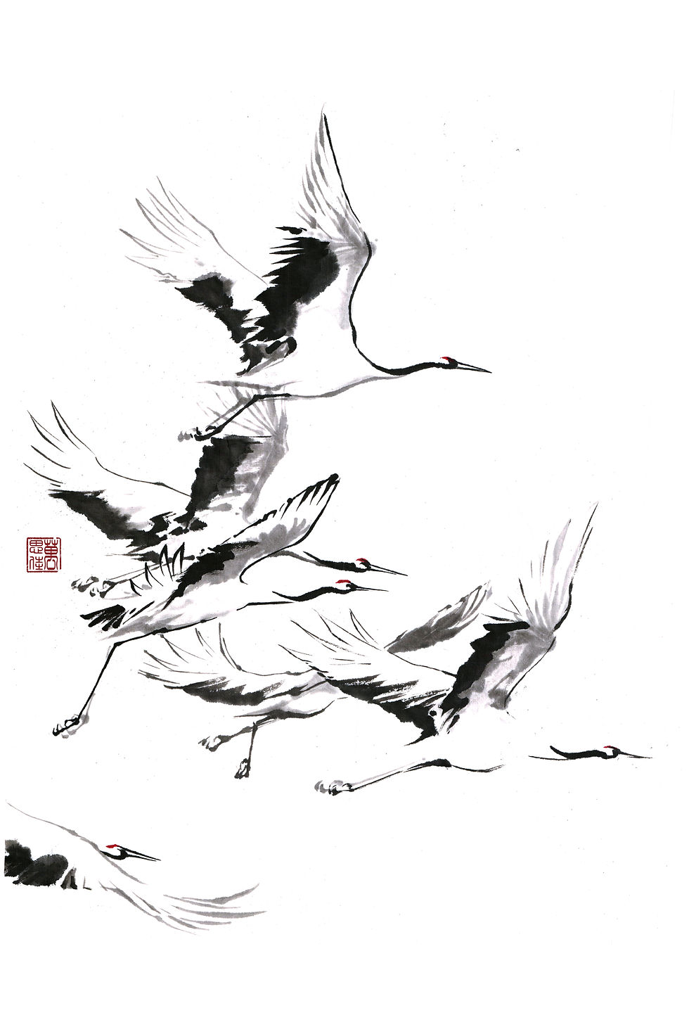 crane013_2x3.jpg