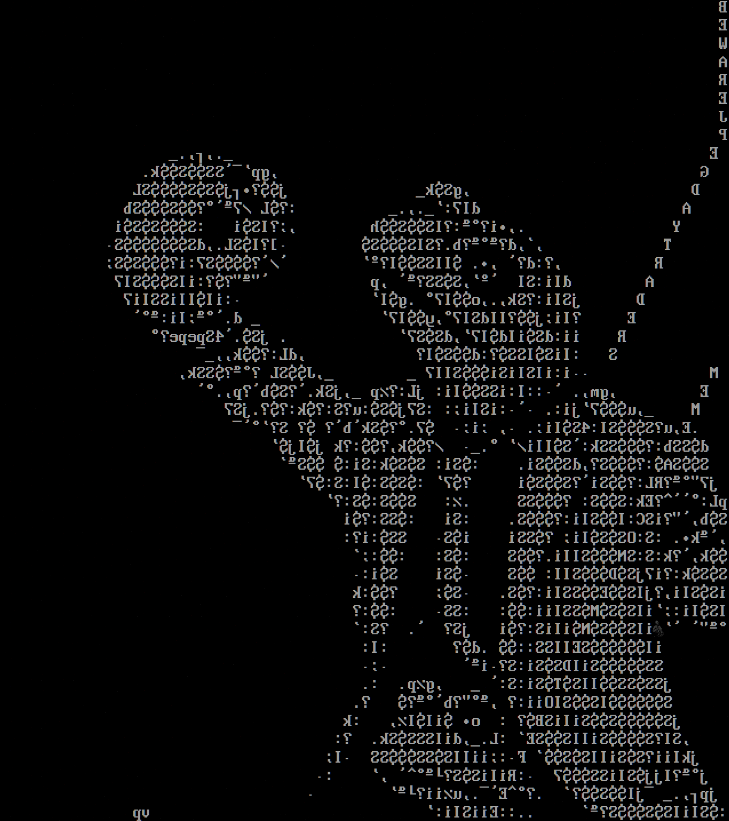 artifact10-ezgif.com-rotate.gif
