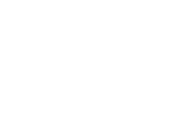 EDINBURGH FRINGE - BEST-REVIEWED SHOWS - 2022.png