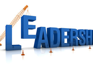 Building Leadership Resilience Through Values and Steadiness