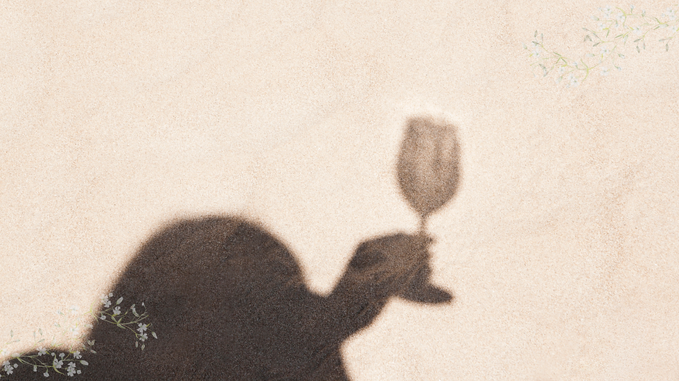 wine shadow.png