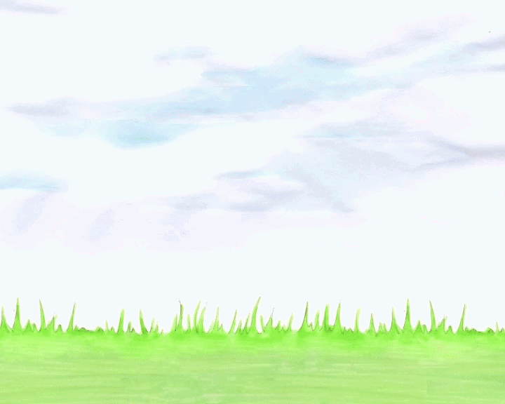 WEDDING NEW 3.gif